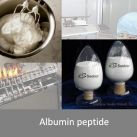 Albumin peptide