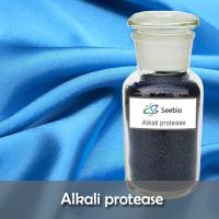 Alkali protease