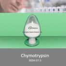 Chymotrypsin