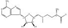 S-Adenosyl methionine
